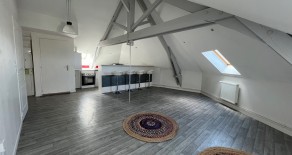 Limoges Tuilieres Grand T2 meublé