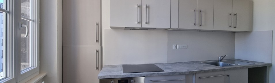 Limoges centre appartement T2BIS et 5 mansardes